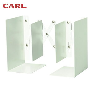 �J�[�� �u�b�N�G���h�i�L�k�^�j �z���C�g (1��) �i�ԁFALB-55-W