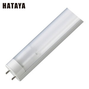 n^ ۏƖV[Yi40W`u^Cvj (1) iԁFASF2S265