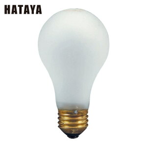�n�^�� AS-100 �ϐU�k�d�� 100V 100W (CM-G�^�n���h�����v�p) (1��)