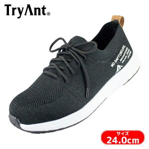 TryAnt A-30 ANGE SAFETY �u���b�N(44) 24.0cm (1��) A-30-44-24.0