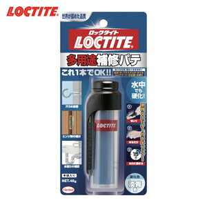 LOCTITE ���b�N�^�C�g ���p�r��C�p�e 48g (1Pk) �i�ԁFDHP-481