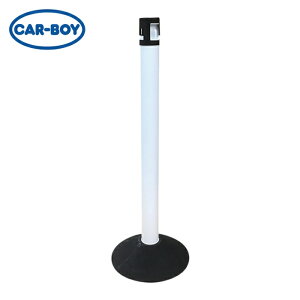 �J�[�{�[�C CAR-BOY �J���[�v���|�[���Z�b�g �L���b�v�u���b�N �s���[�z���C�g�S���x�[�X (1S) CP-05CL0921