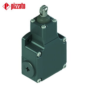 Pizzato ���~�b�g�X�C�b�` FL�^�C�v9 ���[���s�X�g���v�����W��15�` (1��) �i�ԁFFL 915