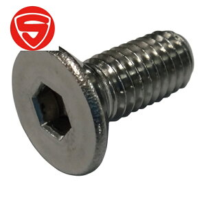 RmG ZptM{g XeX M8×40 (10{) iԁFFLATCSSUS840