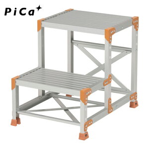 �s�J Pica FGN-2560-30 ��Ƒ� FGN�^ 2�iW500×D400×H600 �����񉜍s300 (1��)