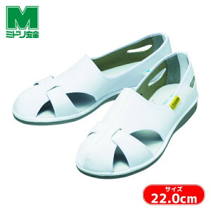 �~�h�����S �Ód��ƌC �G���p�X�N�[�� 22.0cm (1��) ELEPASS COOL-22.0