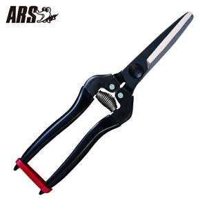 �A���X ARS �H���� ���p�r (1��) �i�ԁFKG-300LW-BP