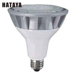 �n�^�� LED������ ���[�N���C�g 20W�������d���F�r�[���^�C�v (1��) �i�ԁFLDR20L-W60