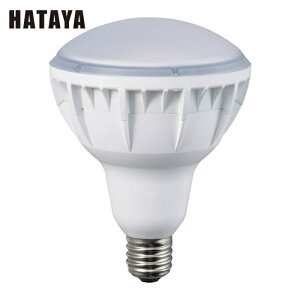 n^ LED [NCg 40WLEDƓ  (1) iԁFLDR40N-H110