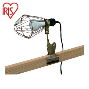 ACXI[} IRIS 228643 PROLEDS lZT[t^CvLEDNbvCg (1) iԁFILW-85GSC3