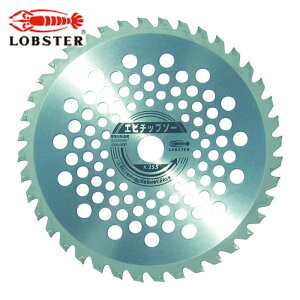 ���u�e�b�N�X �G�r �����@�p�`�b�v�\�[ K255 (1��) �i�ԁFK255