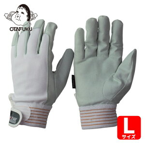 ӂ Ǝ v lNXe[WE zCg L (1o) iԁFK-41-WH-L