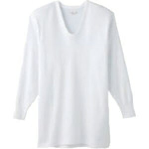 �O���[ GUNZE ��ƕ� ���� �V���c ���K�H�[ ����U�� (1��) �i�ԁFKQ3010-M