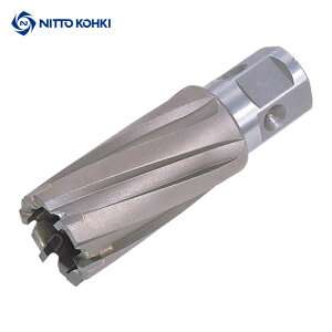 �����H�� NO.16321 �W�F�b�g�u���[�` �����^�b�`�^�C�v 21X35L 16321 (1�{)