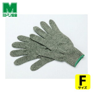 ~hS Ǝ ϔMp (1o) iԁFMGT-100