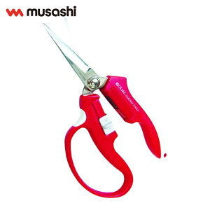 ���T�V ����i����Ă��j�n�T�~ �I���} �}�O�l�b�g�� ��،^�i�ԁj (1��) �i�ԁFMG-2R