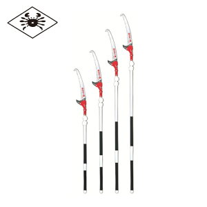 �j�V�K�L �L�k���� ���}�� �}�ł��ꔭ 4m (1��) �i�ԁFN761