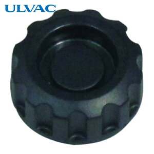 �A���o�b�N ULVAC �I�C���h���[���v���O GLD-136/201 (1��) �i�ԁFOIL DRAIN PLUG FOR GLD-136/201