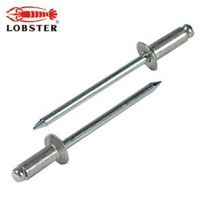 uebNX Gr uChxbgEM A~/XeB[ 4-6 i1000{j (1) iԁFNSA46K