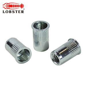�G�r ���u�e�b�N�X NSK5MR ���[���b�g�i�b�g(�����E�X�e�B�[����) ��2.5 M5×0.8(1000��) (1��)