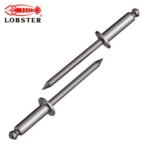 ���u�e�b�N�X �G�r �u���C���h���x�b�g�i�X�e�����X/�X�e�����X���j 8-8�i500�{���j ���� (1��) �i�ԁFNST88