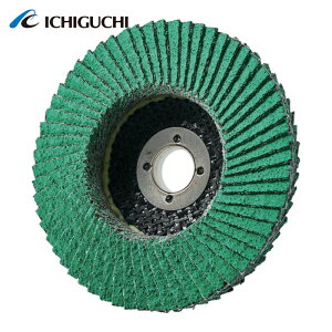 �C�`�O�` PGAX10015-Z-60 PGA-X �t���b�v�f�B�X�N Z (10��)