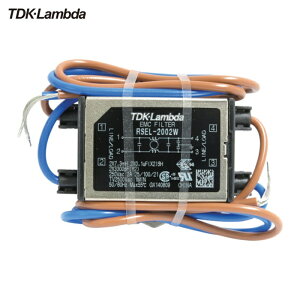 TDK�����_ RSEL-2002W �m�C�Y�t�B���^ RSEL�V���[�Y ���C���^�C�v 250V 2A (1��)