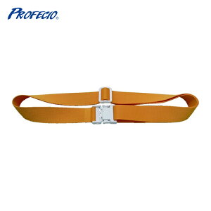 �S�[���h�E�C�� �J���[�E�F�X�g�x���g �C�G���[ (1�{) PA130X-Y