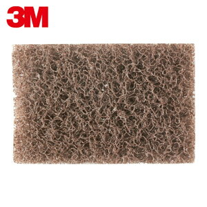 3M �X���[�G�� �X�R�b�`�E�u���C�g �X�[�p�[���� �e�� ��60�`80���� (10��) �i�ԁFS/GANKO ARAME