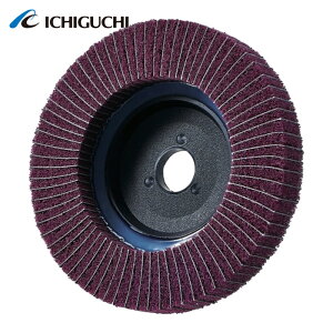 �C�`�O�` SD10015-M-320 �X�R�[���C�g�f�B�X�NM (5��)