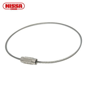 jbT`FC XeXL[C[i100j (1) iԁFSKE-100