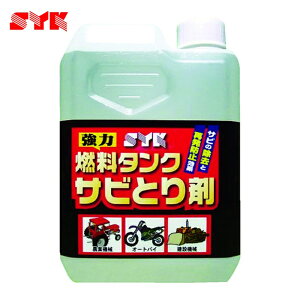 ��ؖ����H�� SYK �R���^���N�T�r�Ƃ�� 1L (1��) S-2666