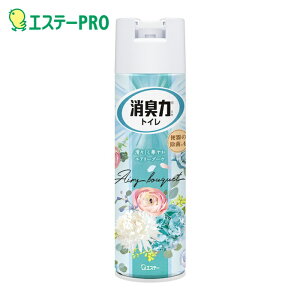 GXe[ gC̏L̓Xv[ GA[u[P (1{) iԁFST13113