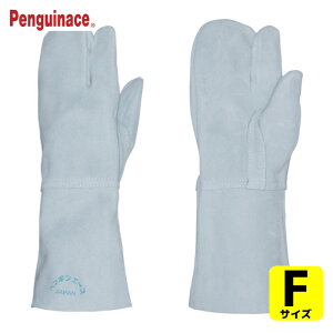 yMG[X Ǝ v nڗpv v3{w t[TCY (1o) iԁFTH-410