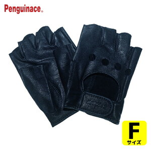 yMG[X Ǝ v HUSOLIDU[ hCrOO[u F ubN (1o) iԁFTH-604