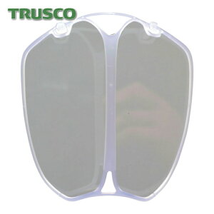 gXR TRUSCO 3D̃Ci[}XNt[  (1) iԁFTDIMF