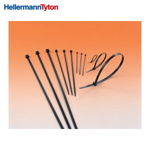 �w���}���^�C�g�� TYTON T60S-W MS�^�C ��4.8×����251mm 100�{�� �����O�g�p (1��)