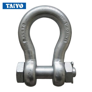 ��m����H�� TBB-10G TAIYO�V���b�N��M �h�u BB-10(1015445) (1��)