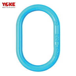 YOKE G-100�}�X�^�[�����N X-003 11.3t (1��) �i�ԁFX-003-1613