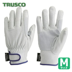 gXR TRUSCO Ǝ v }WbNhؖ{v ĕt^Cv MTCY (1o) iԁFTWLG-M