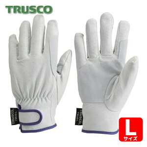 gXR TRUSCO Ǝ v }WbNhؖ{v ĕt^Cv LTCY (1o) iԁFTWLG-L