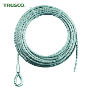 �g���X�R TRUSCO �蓮�E�C���`�p���C���[��12×20m�p(�V���u�����胍�b�N���H) (1�{) WWS12-20