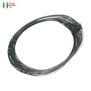 _Ch[ng dpj 100{ 62cm (1) iԁF10155900