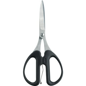 ALLEX ѐn NtgnT~ ͂  NtgpS؂iȐnj (1) iԁF18313