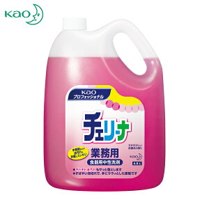 Kao ԉ H Ɩp`F[i 4.5L (1) iԁF021274