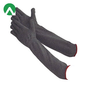 Ag 10G XyNgA[K[h (1o) iԁFHG-76