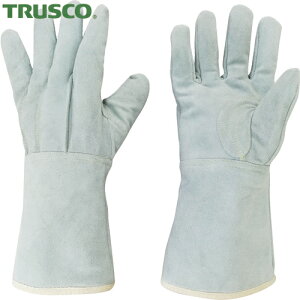 gXR TRUSCO njJnڗp5{w (1o) iԁFHNLG5