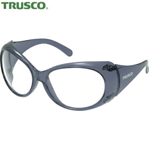 gXR TRUSCO Chr[2^ی߂˃ubN^Cv PET-AFY (1) iԁFFVG-BK