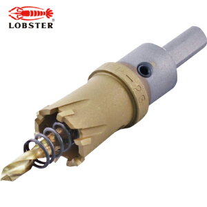 uebNX Gr dz\[i`^R[eBOj 24mm (1{) iԁFHO24G