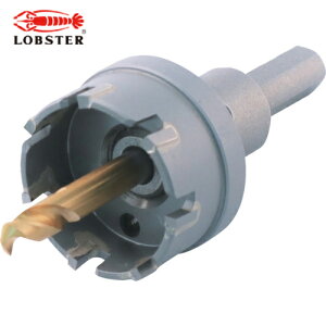 uebNX Gr dz\[ipj na33mm (1{) iԁFHO-33S